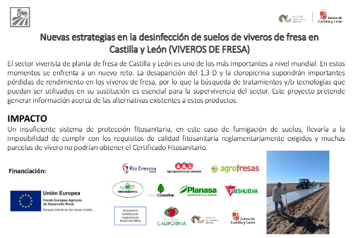 Nuevas estrategias en la desinfección de suelos de viveros de fresa en Castilla y León (VIVEROS DE FRESA)